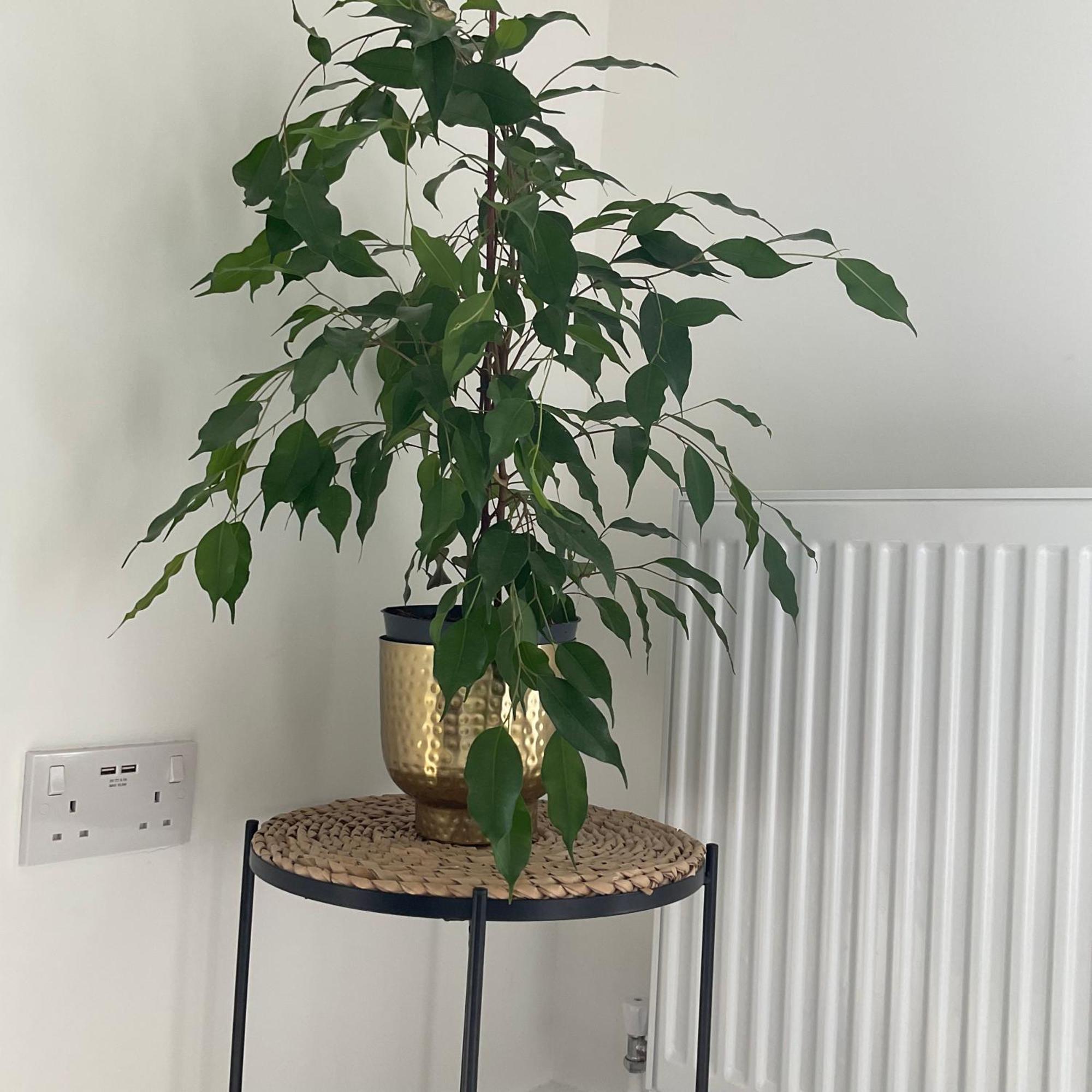 The Parkes A Stylish 3Br House, 5 Mins From Central Birmingham Close To The Edgbaston Stadium, The Hippodrome, Uob, Aston And Bcu, China Town, Kings Heath Bhx Airport And Much More Exterior foto